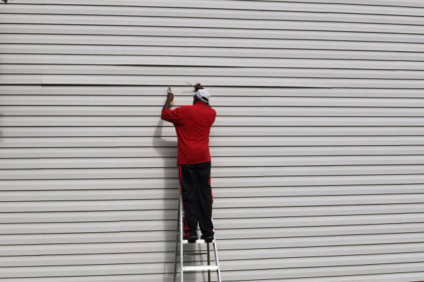 Trusted Latimer, MS Siding Installation & Repair Experts